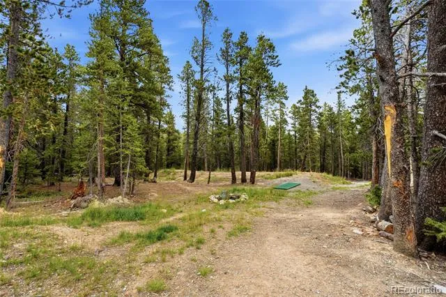 1662 Bobcat Lane Fairplay, CO 80440