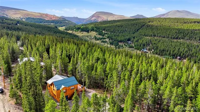 1662 Bobcat Lane Fairplay, CO 80440