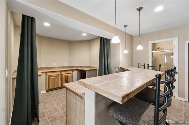 12794 S Robinson Ranch Drive Parker, CO 80134