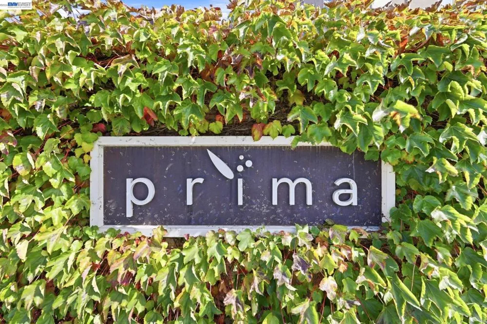 38935 Primula Ter Newark, CA 94560