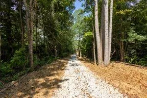 7704 Georgia Highway 100 Buchanan, GA 30113