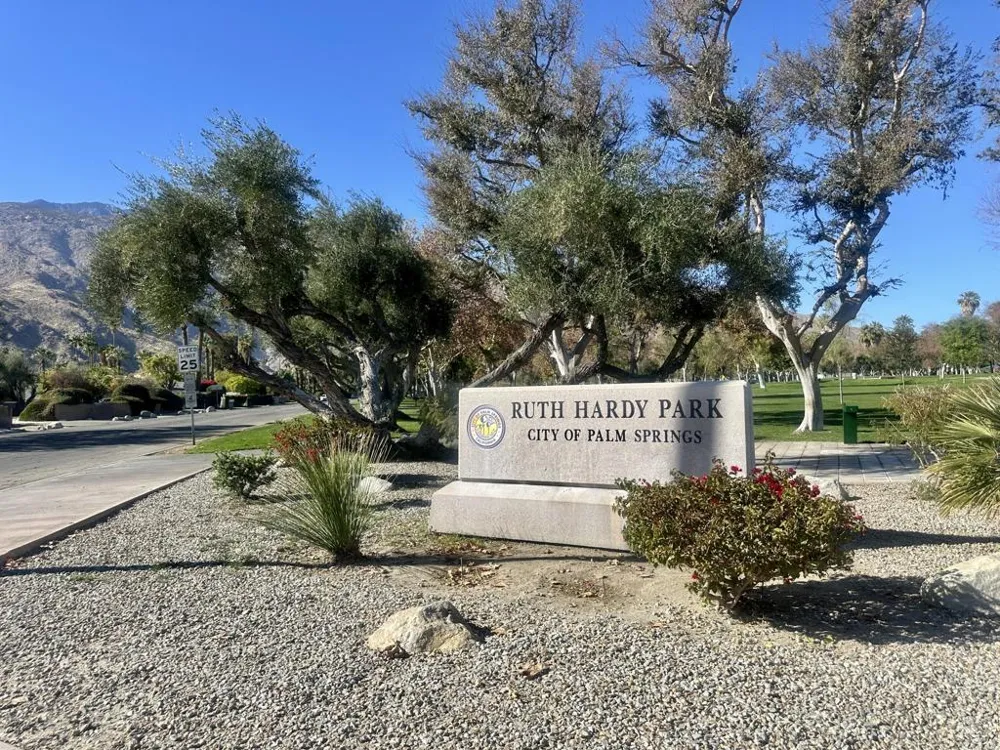 291 E Mel Avenue E #200 Palm Springs, CA 92262