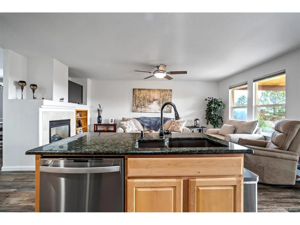 1294 Kittery Street Castle Rock, CO 80104