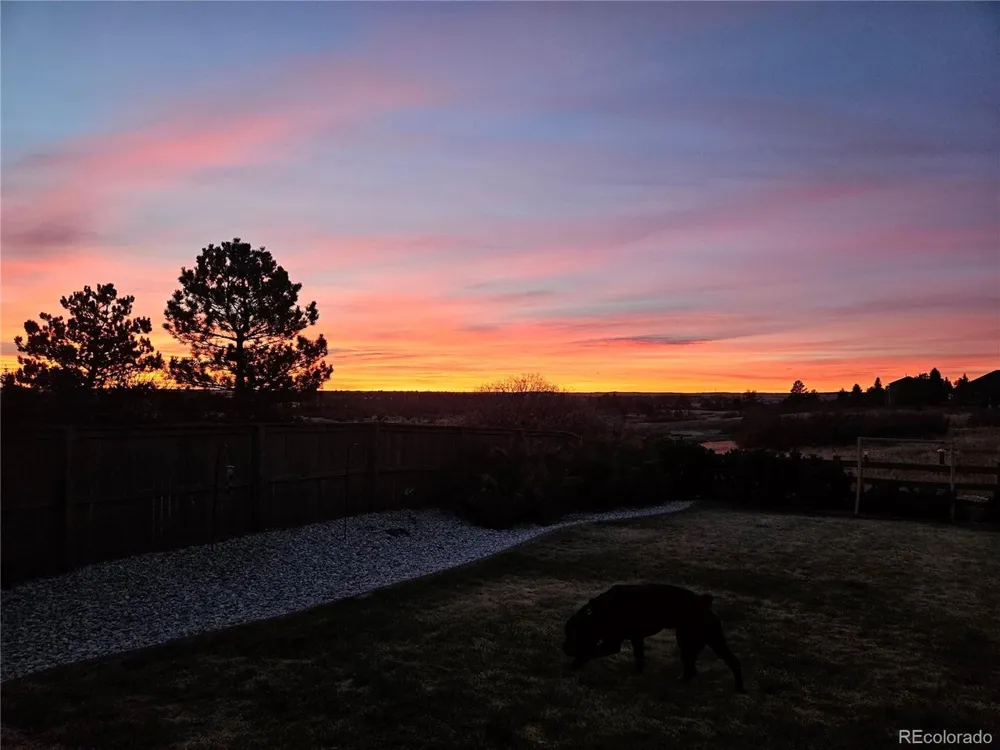 1294 Kittery Street Castle Rock, CO 80104