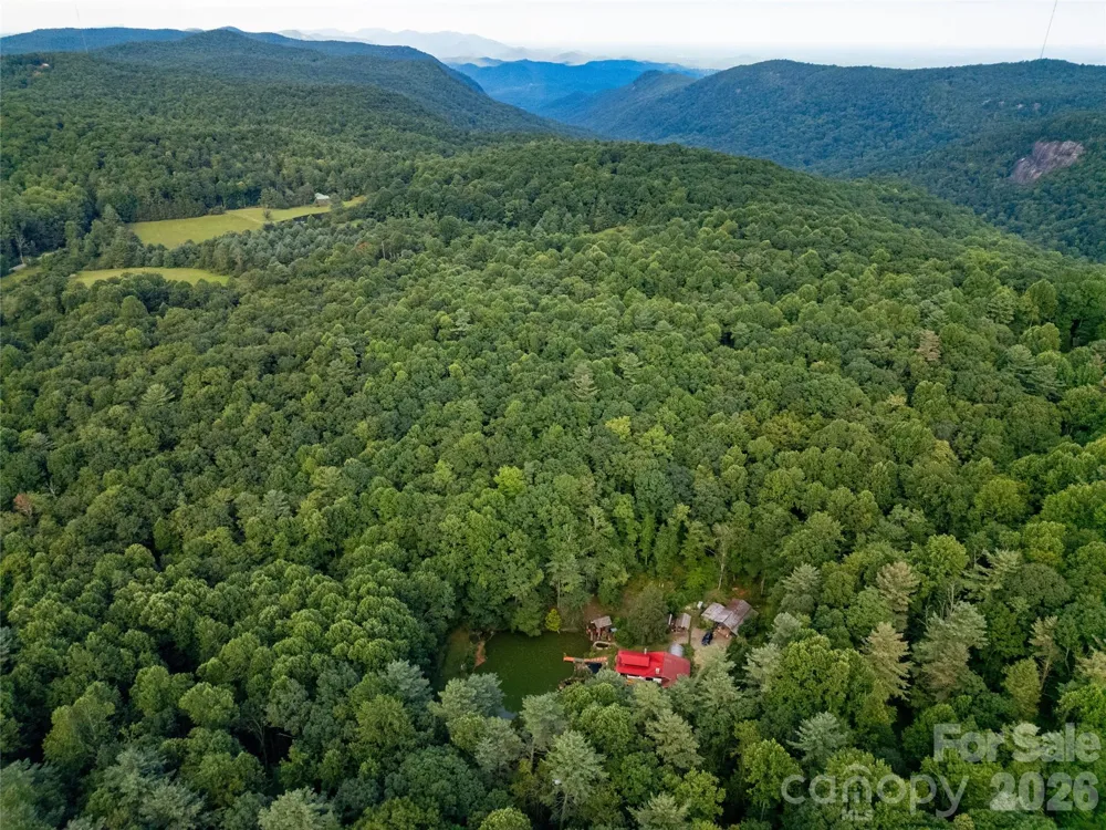 87 Old Chimney Lane Cedar Mountain, NC 28718