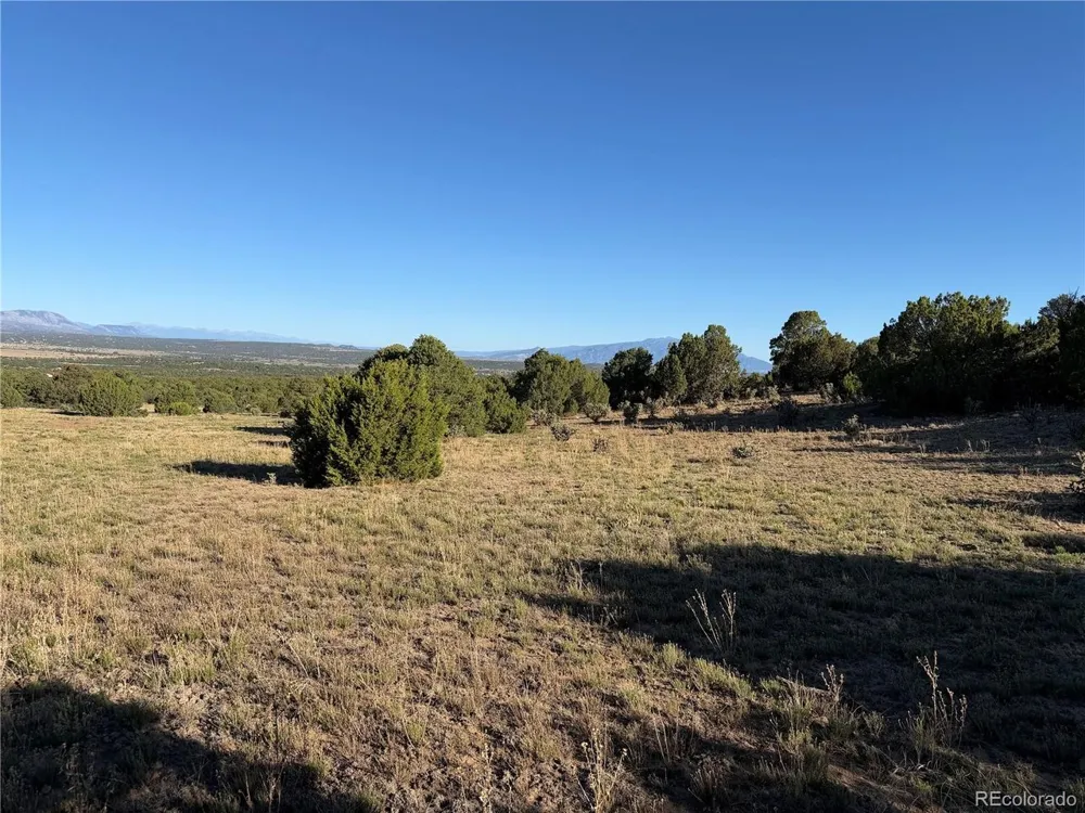 141 River Ridge Ranch Walsenburg, CO 81089