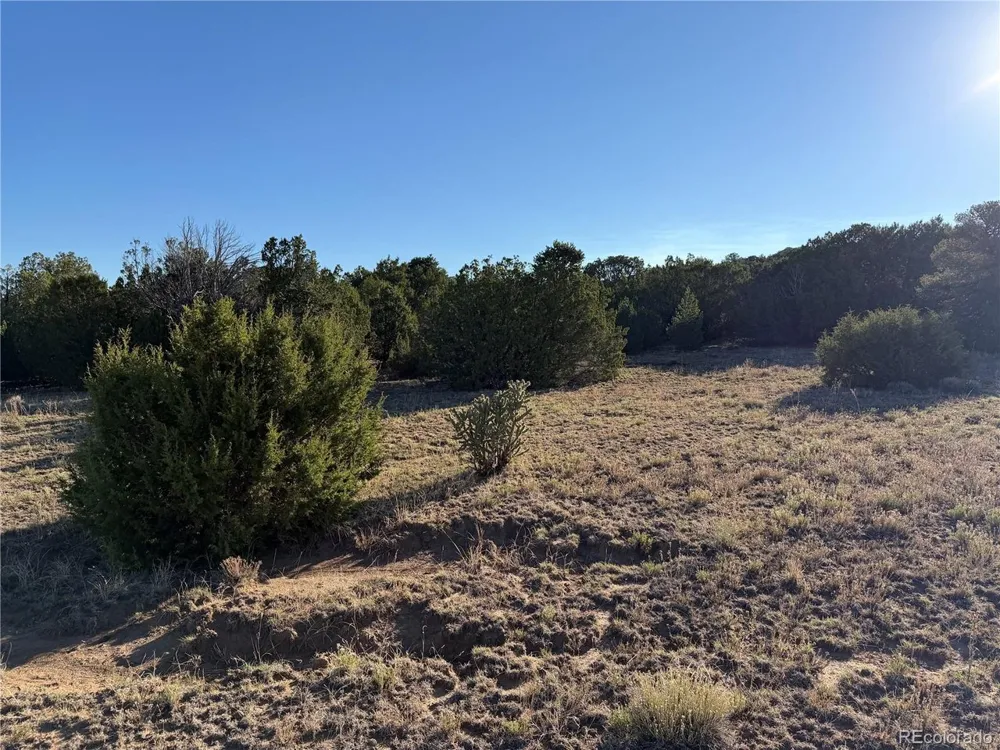 141 River Ridge Ranch Walsenburg, CO 81089