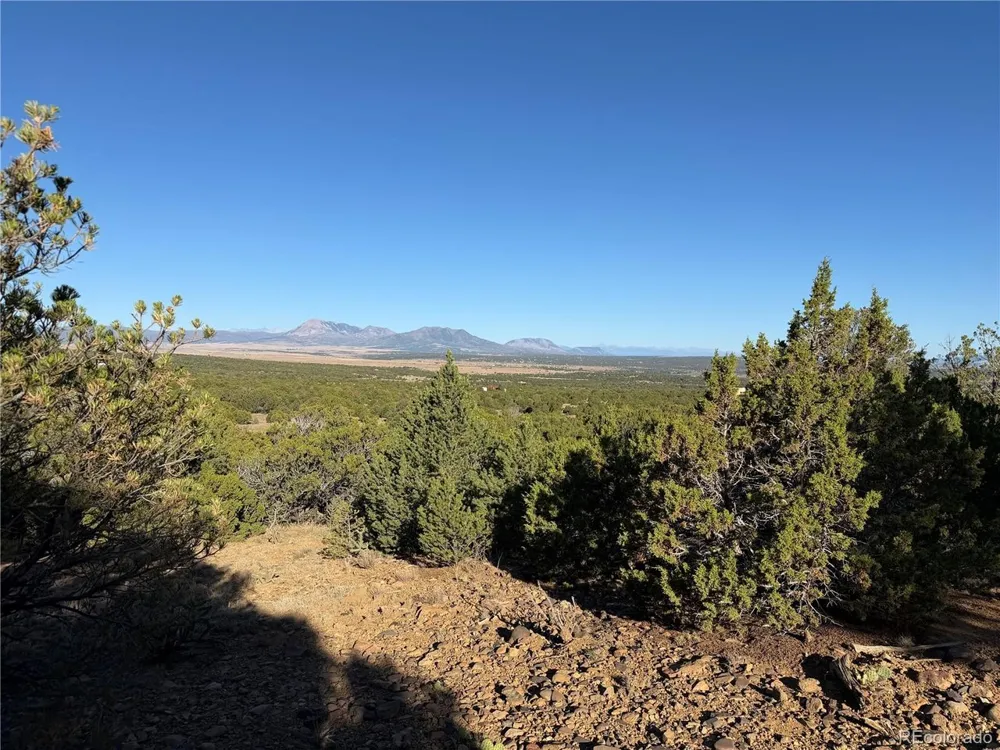 141 River Ridge Ranch Walsenburg, CO 81089