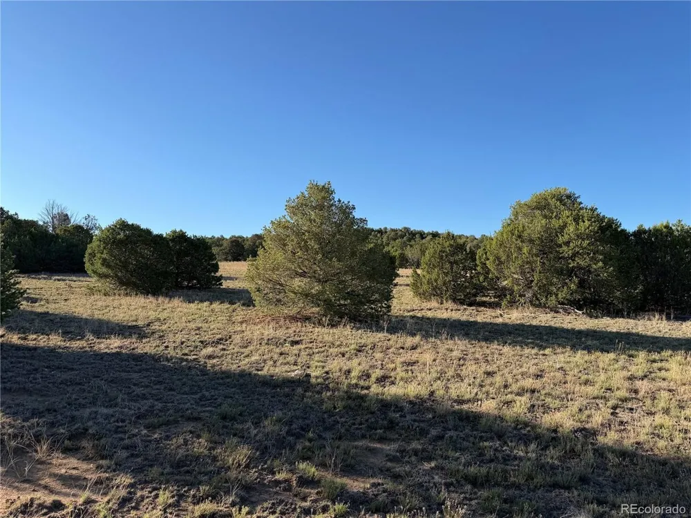 141 River Ridge Ranch Walsenburg, CO 81089