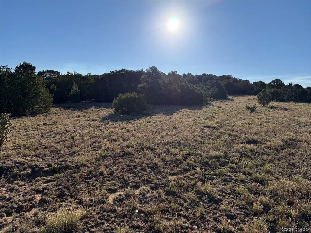 141 River Ridge Ranch Walsenburg, CO 81089