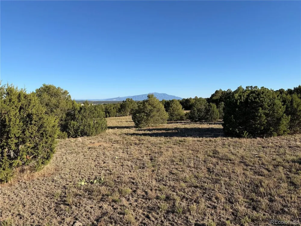 141 River Ridge Ranch Walsenburg, CO 81089