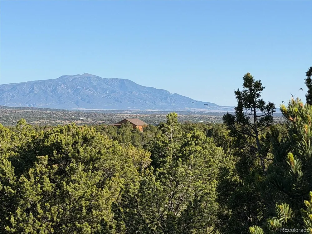 141 River Ridge Ranch Walsenburg, CO 81089