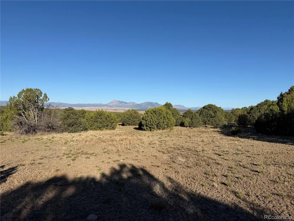 141 River Ridge Ranch Walsenburg, CO 81089