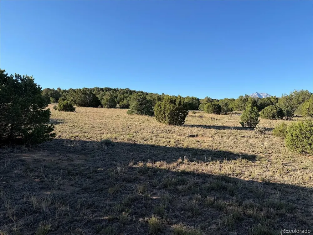 141 River Ridge Ranch Walsenburg, CO 81089
