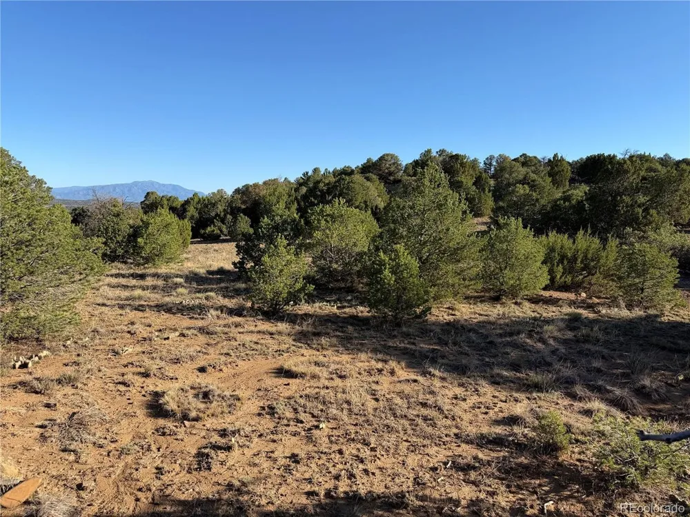 141 River Ridge Ranch Walsenburg, CO 81089