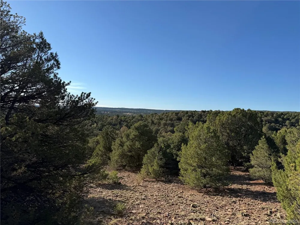 141 River Ridge Ranch Walsenburg, CO 81089