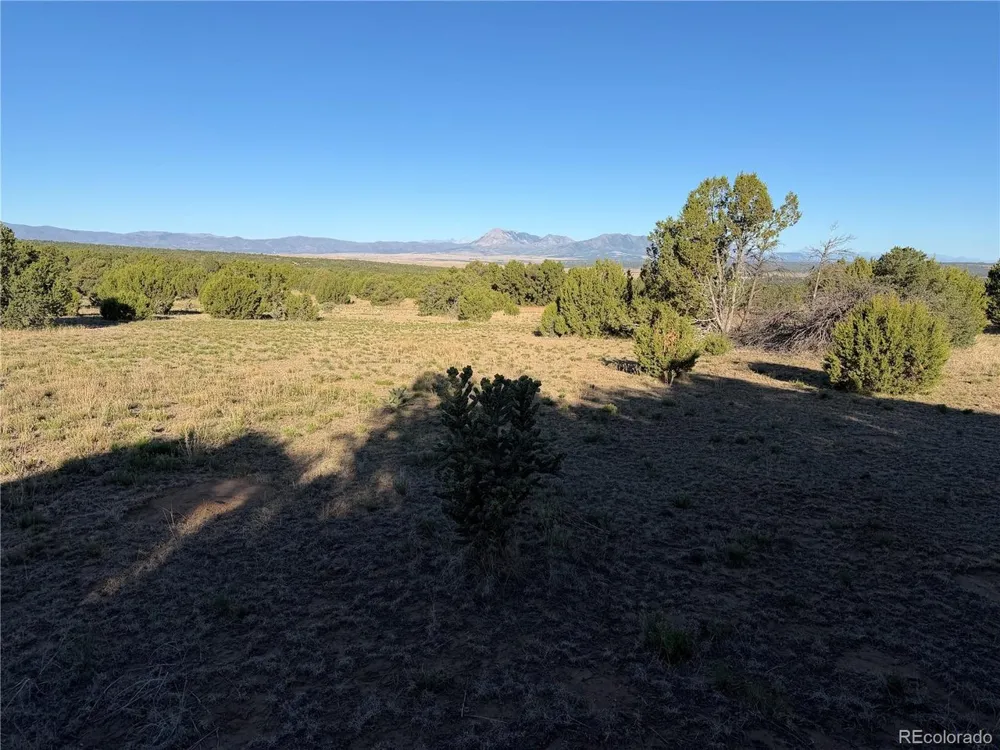 141 River Ridge Ranch Walsenburg, CO 81089