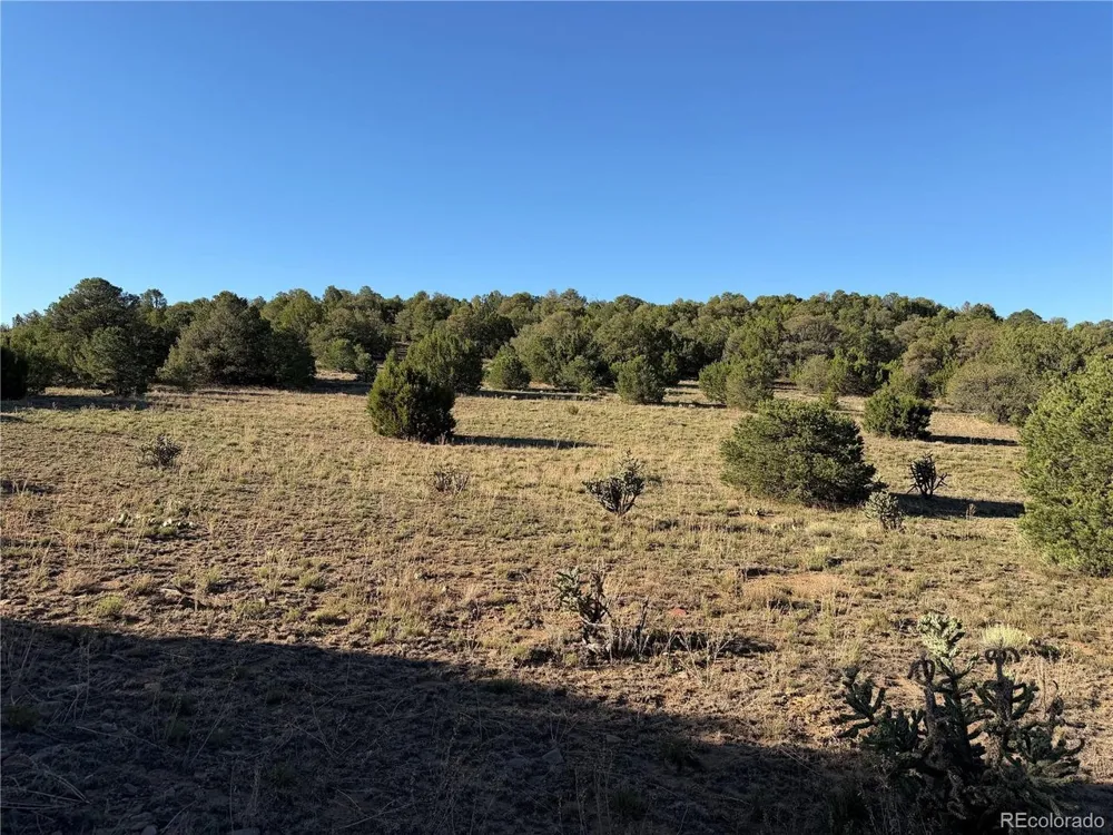 141 River Ridge Ranch Walsenburg, CO 81089
