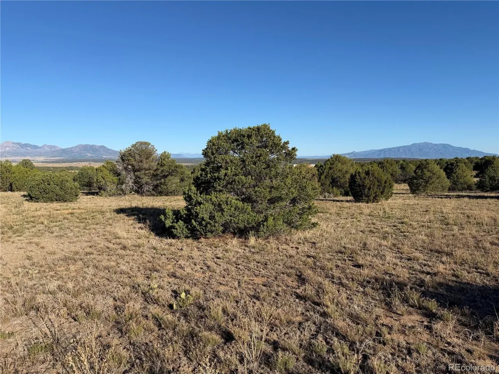 141 River Ridge Ranch Walsenburg, CO 81089
