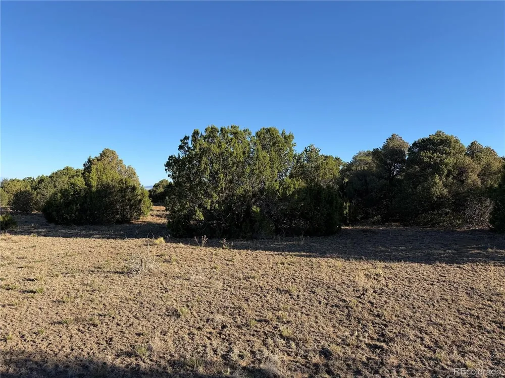 141 River Ridge Ranch Walsenburg, CO 81089