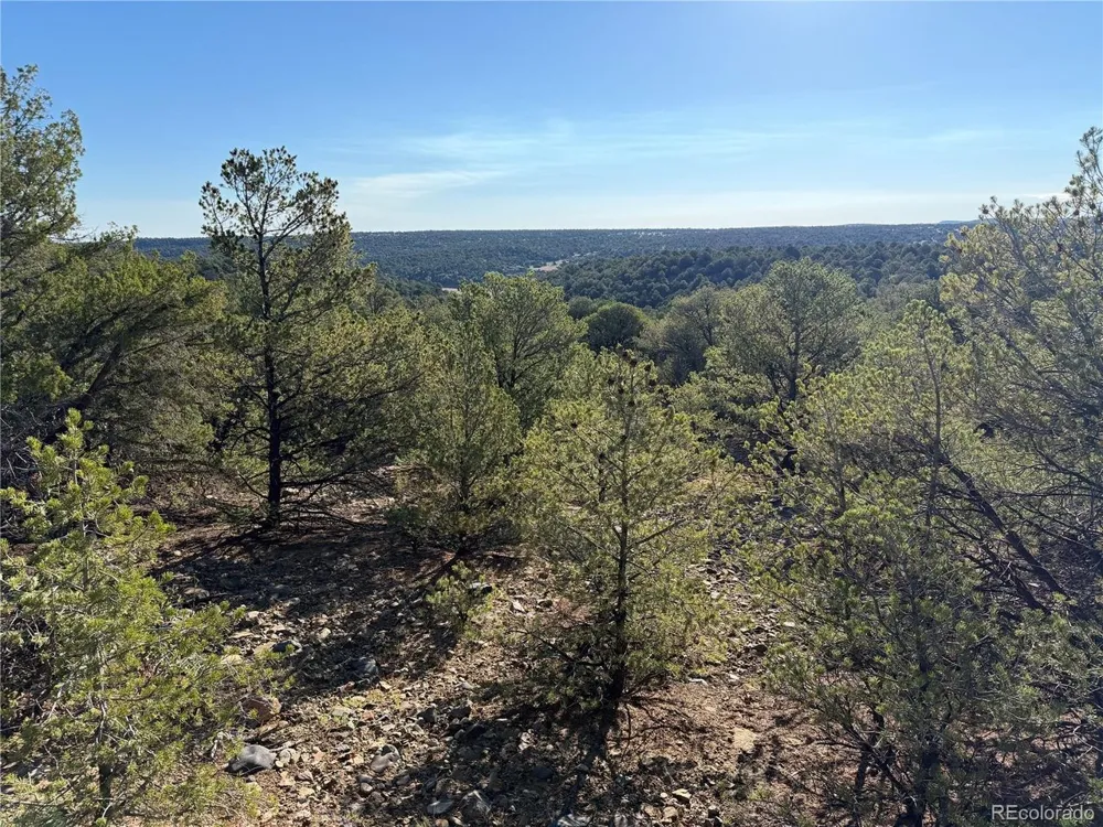 141 River Ridge Ranch Walsenburg, CO 81089