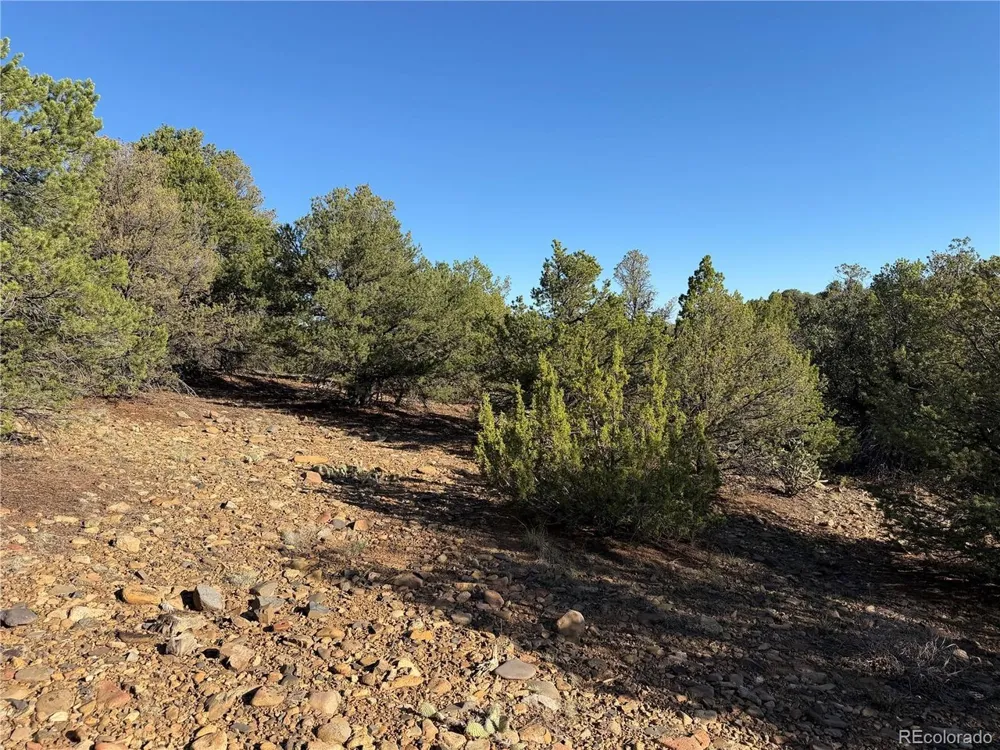 141 River Ridge Ranch Walsenburg, CO 81089