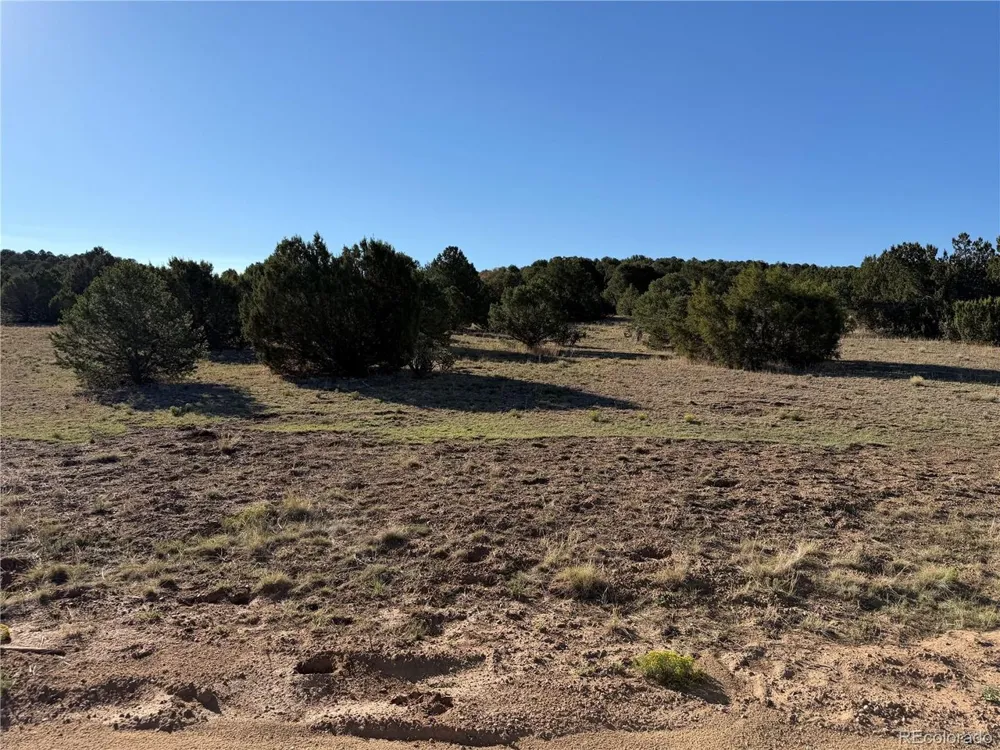 141 River Ridge Ranch Walsenburg, CO 81089