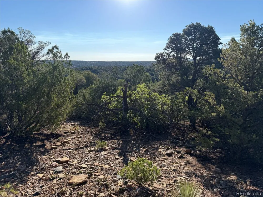 141 River Ridge Ranch Walsenburg, CO 81089