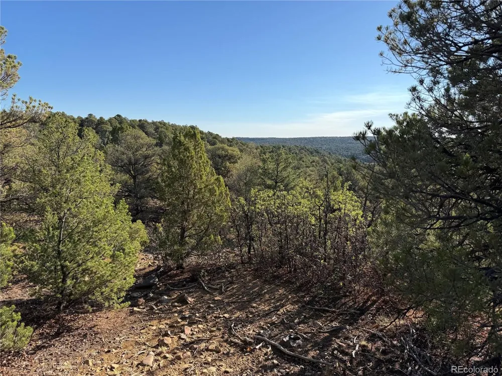 141 River Ridge Ranch Walsenburg, CO 81089