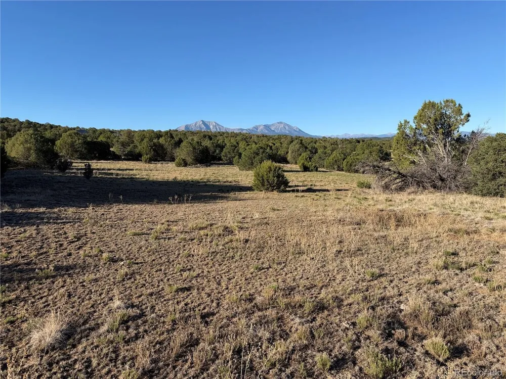 141 River Ridge Ranch Walsenburg, CO 81089