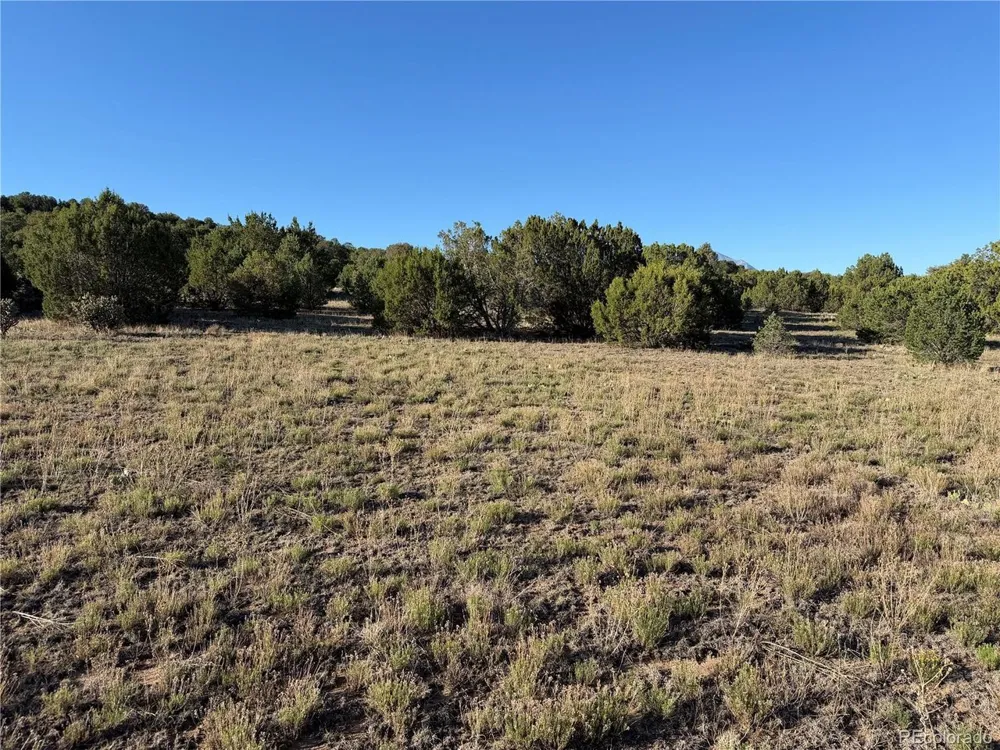 141 River Ridge Ranch Walsenburg, CO 81089