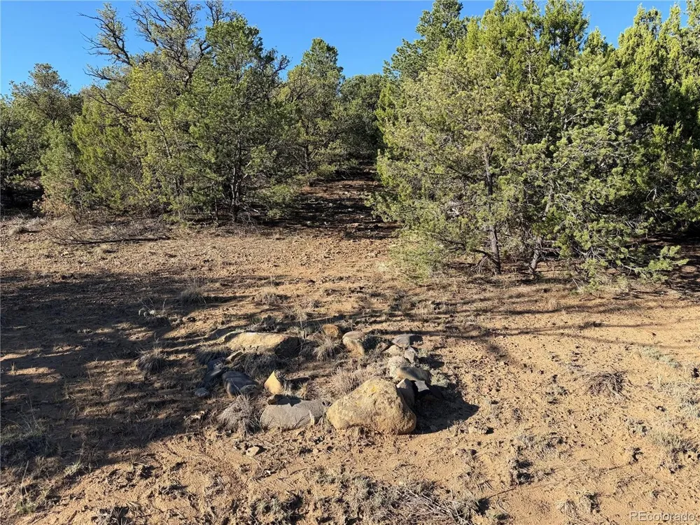 141 River Ridge Ranch Walsenburg, CO 81089
