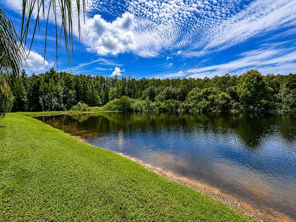 1637 ABYSS DRIVE Odessa, FL 33556