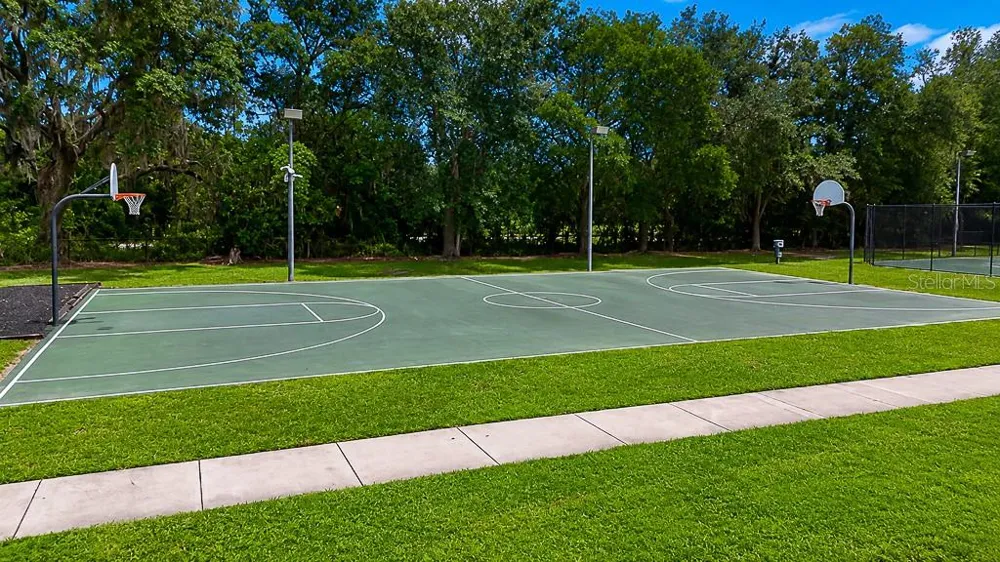 1637 ABYSS DRIVE Odessa, FL 33556