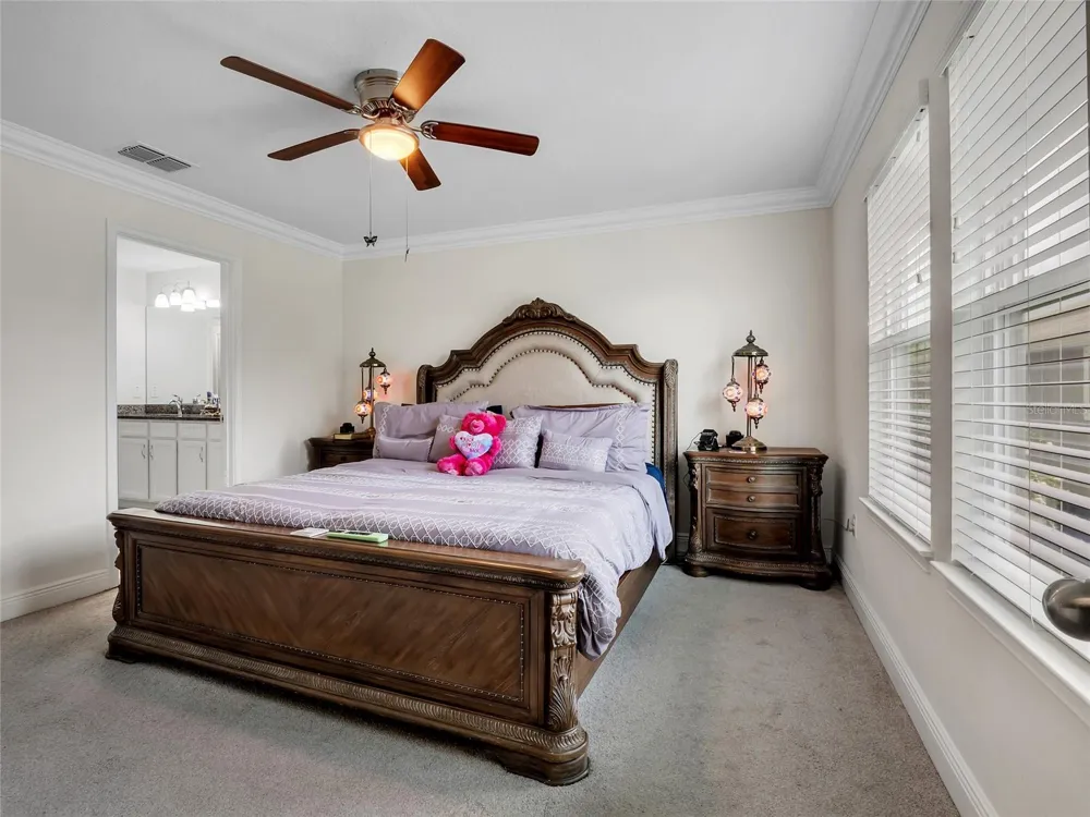 14309 PONDHAWK LANE Tampa, FL 33625