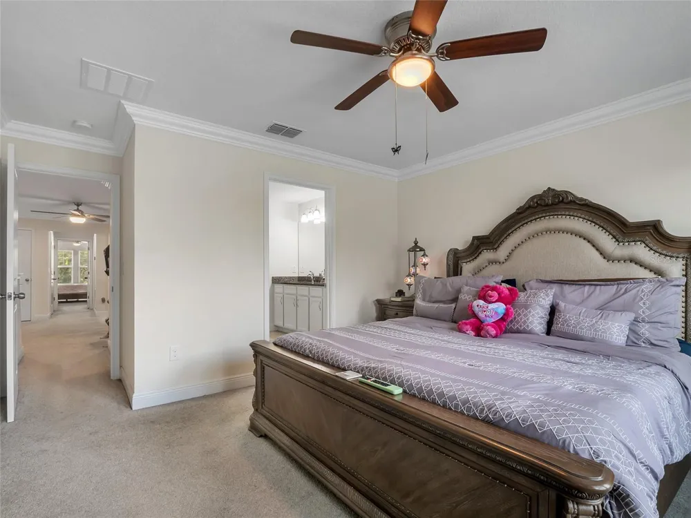 14309 PONDHAWK LANE Tampa, FL 33625