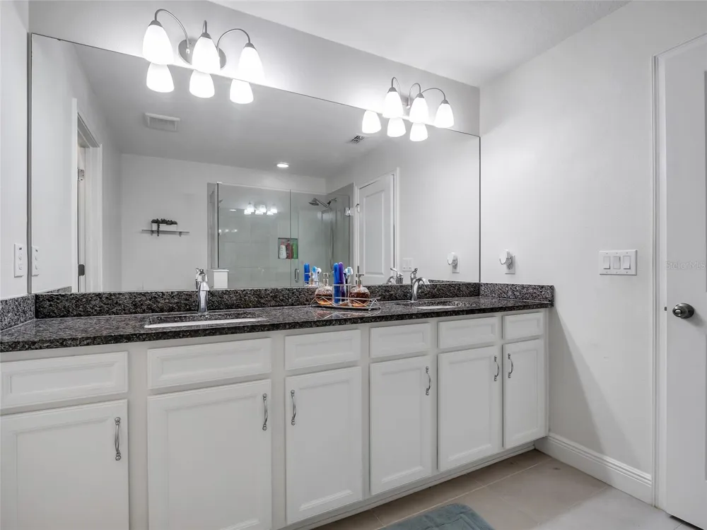 14309 PONDHAWK LANE Tampa, FL 33625