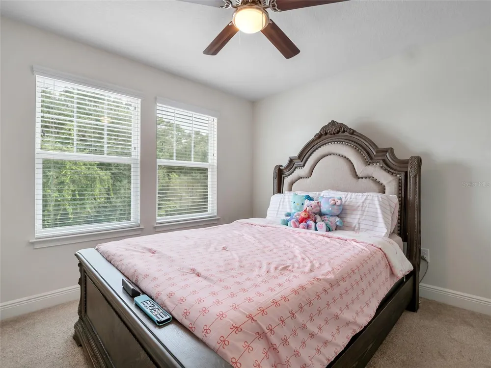 14309 PONDHAWK LANE Tampa, FL 33625