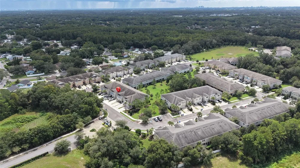 14309 PONDHAWK LANE Tampa, FL 33625