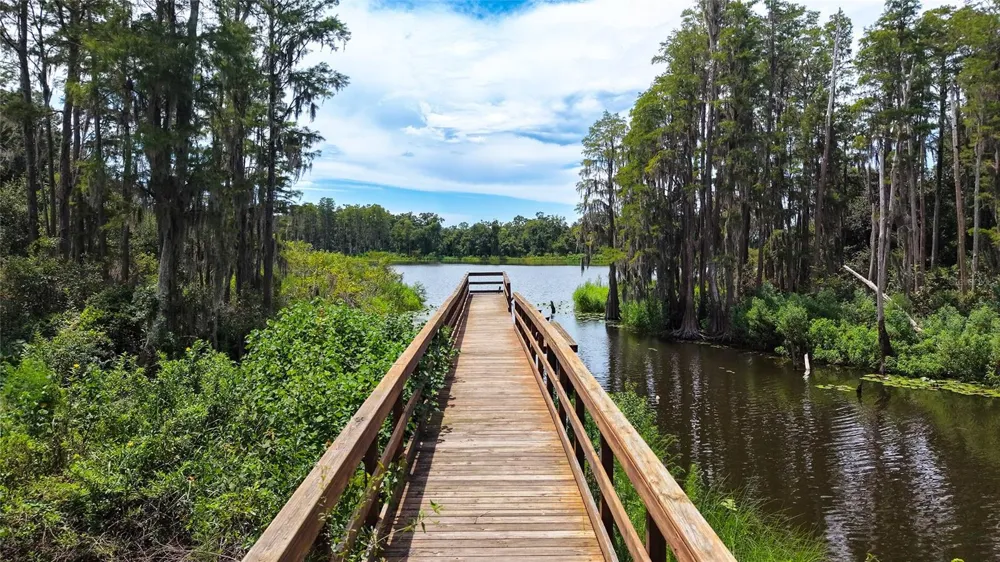 14309 PONDHAWK LANE Tampa, FL 33625