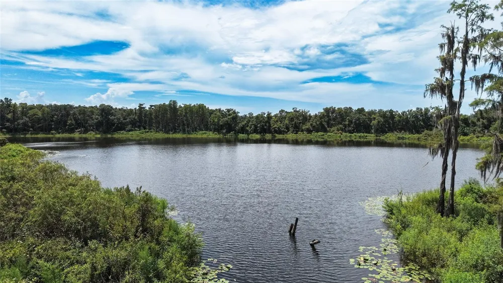 14309 PONDHAWK LANE Tampa, FL 33625