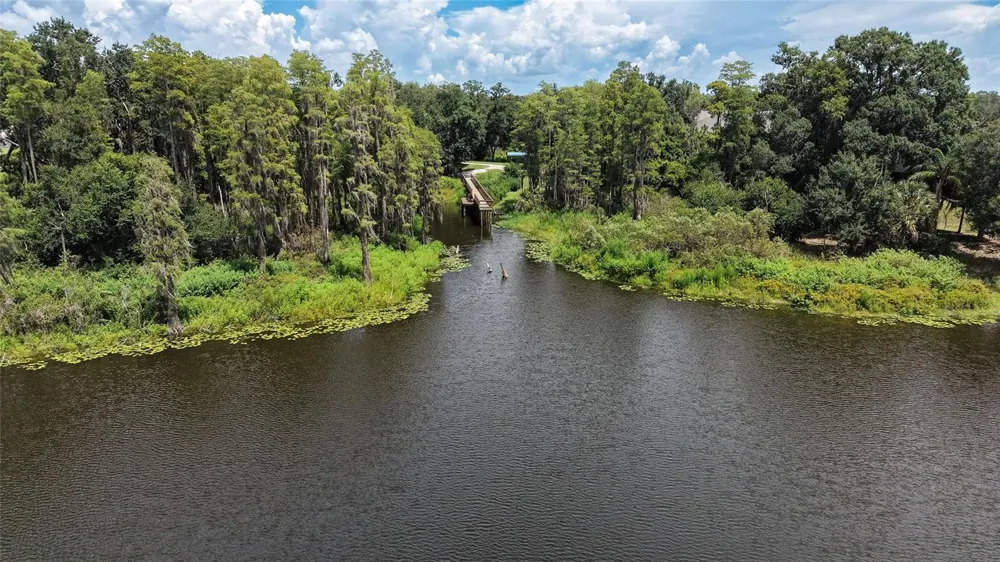 14309 PONDHAWK LANE Tampa, FL 33625