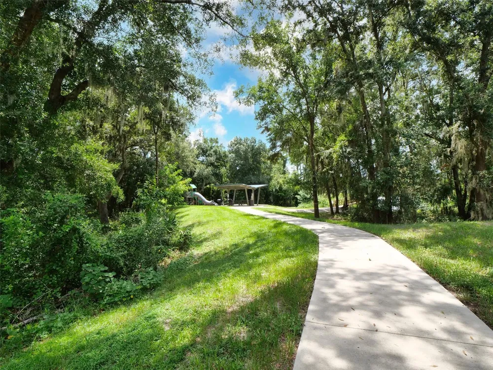 14309 PONDHAWK LANE Tampa, FL 33625