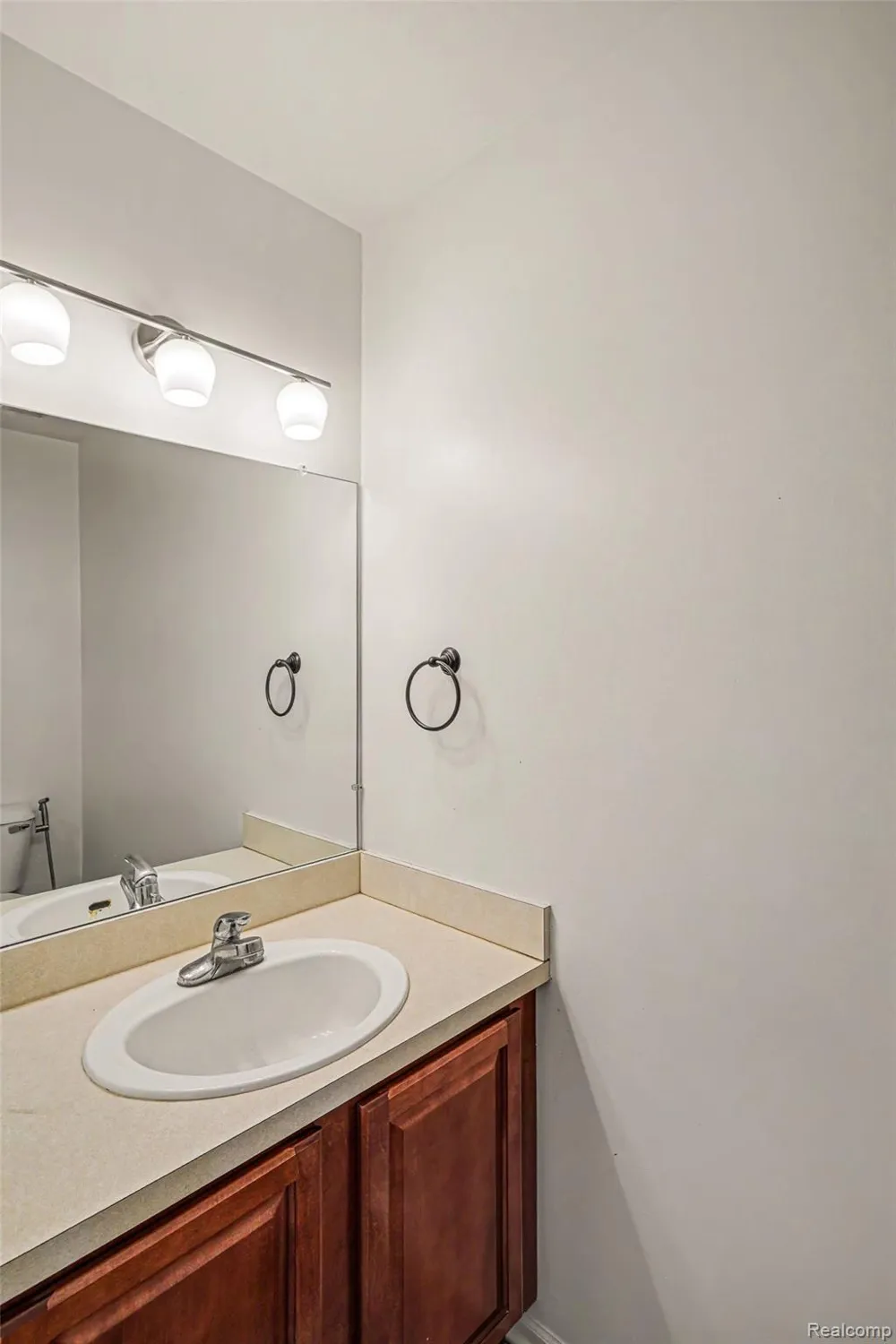 25932 Cobblers Lane Lyon Charter Township, MI 48178