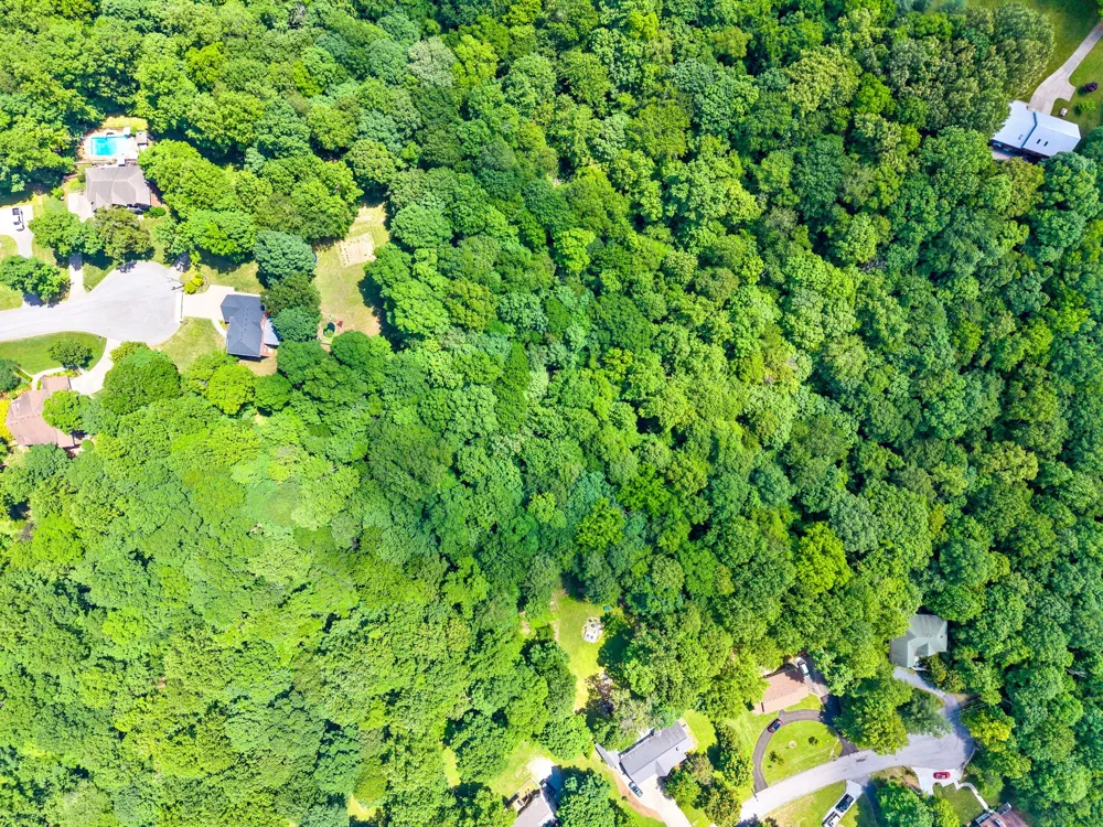 274 Yearling Trce Pleasant View, TN 37146