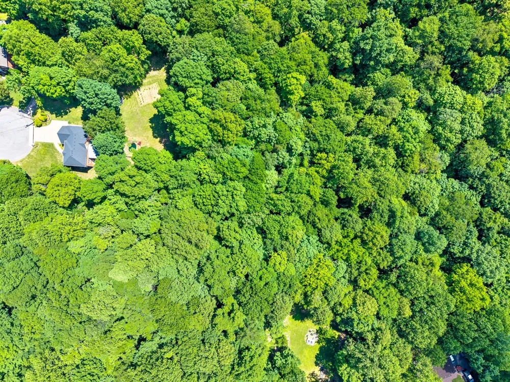 274 Yearling Trce Pleasant View, TN 37146
