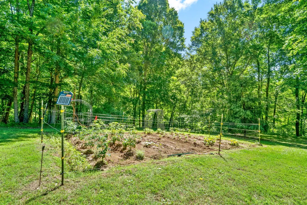 274 Yearling Trce Pleasant View, TN 37146