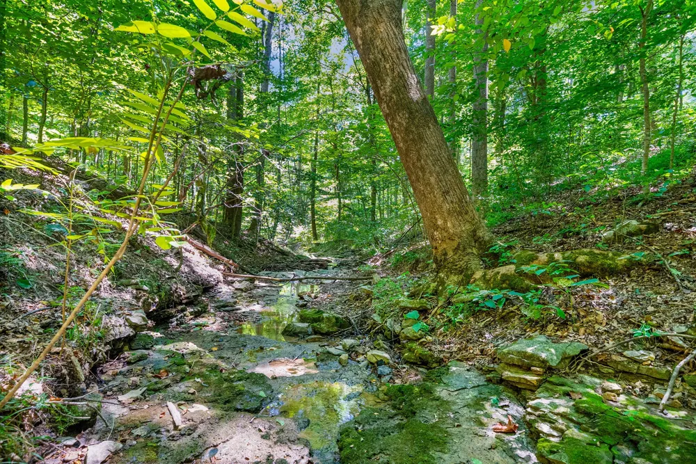 274 Yearling Trce Pleasant View, TN 37146