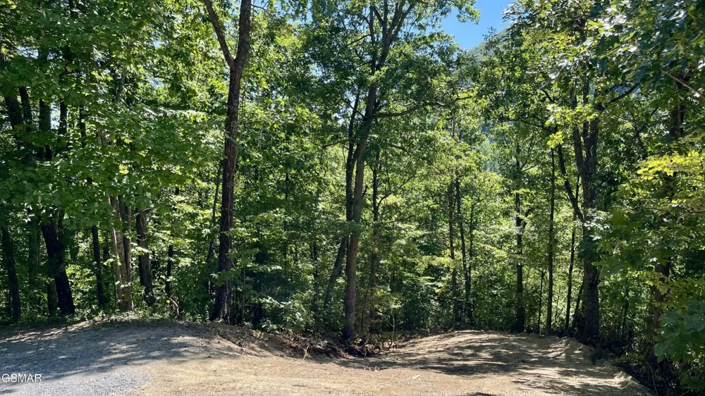 2324 Red Maple Lane Sevierville, TN 37876
