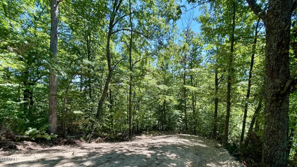 2324 Red Maple Lane Sevierville, TN 37876